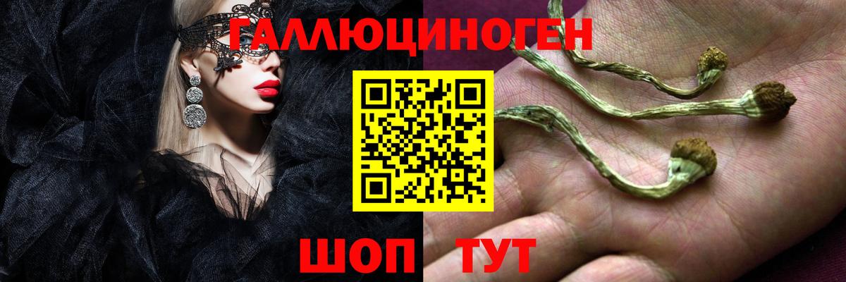 цены   Вход с VPN  Псилоцибиновые грибы GOLDEN TEACHER  Долгопрудный  Псилоцибиновые грибы ЛСД 